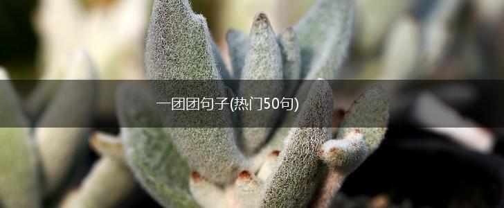 一团团句子(热门50句),第1张