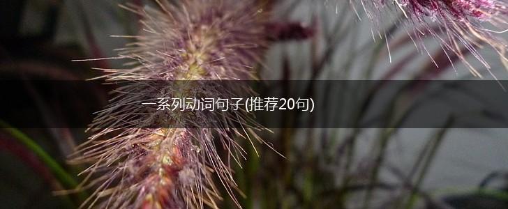 一系列动词句子(推荐20句),第1张