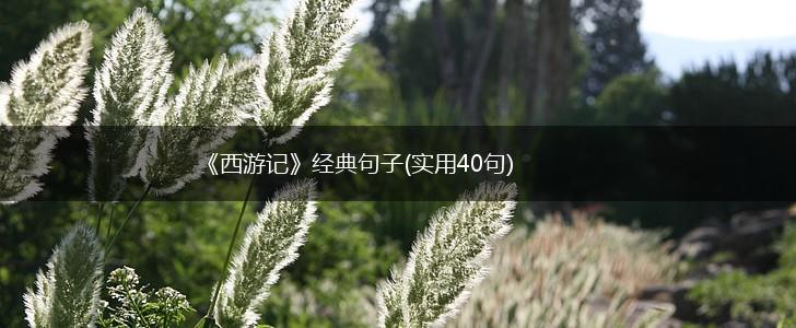 《西游记》经典句子(实用40句),第1张