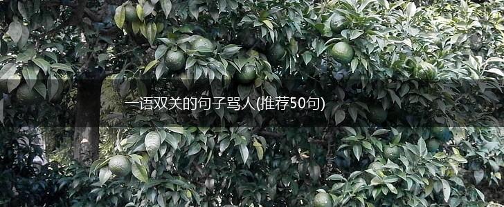 一语双关的句子骂人(推荐50句),第1张