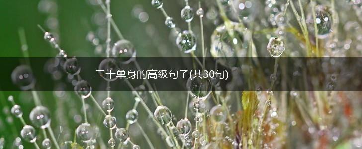 三十单身的高级句子(共30句),第1张