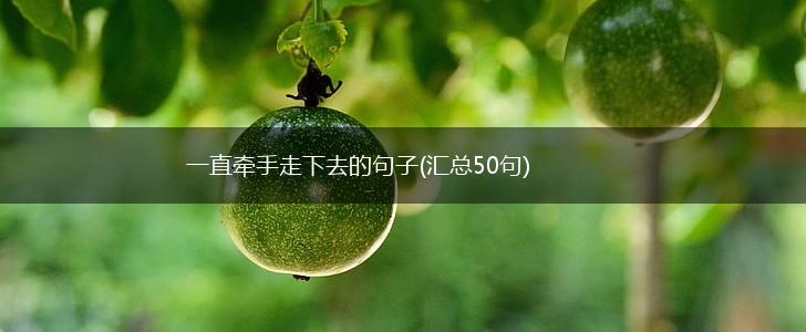 一直牵手走下去的句子(汇总50句),第1张