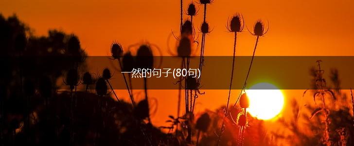 一然的句子(80句),第1张