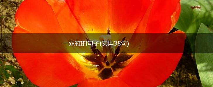一双鞋的句子(实用38句),第1张