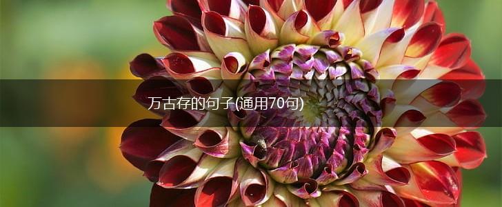 万古存的句子(通用70句),第1张