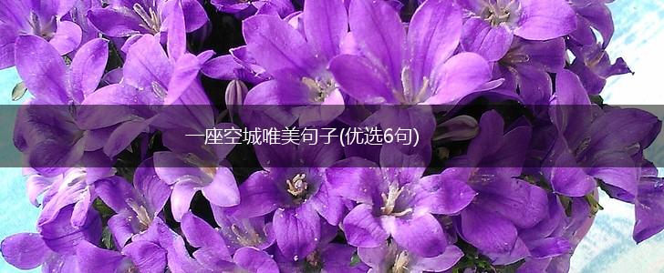 一座空城唯美句子(优选6句),第1张