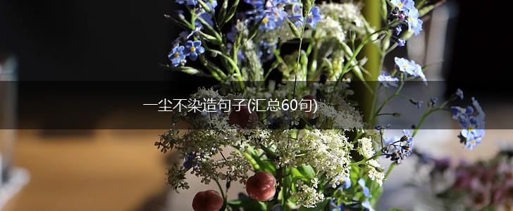 一尘不染造句子(汇总60句),第1张