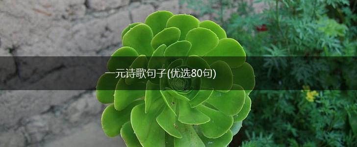一元诗歌句子(优选80句),第1张