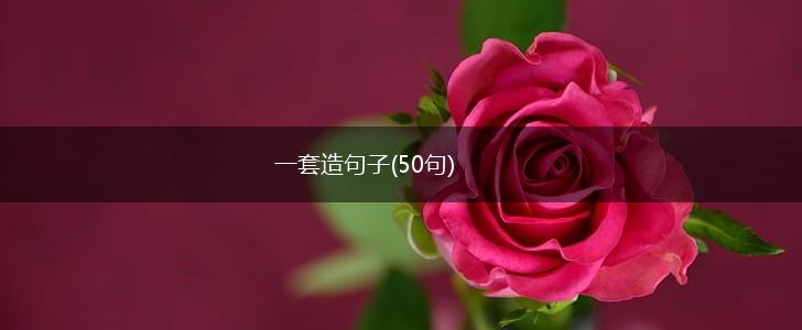 一套造句子(50句),第1张