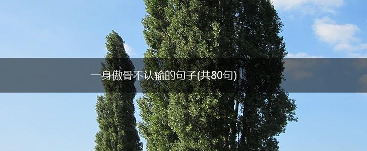 一身傲骨不认输的句子(共80句),第1张