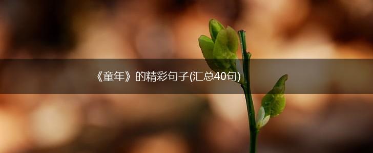 《童年》的精彩句子(汇总40句),第1张