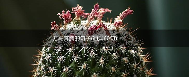 万马奔腾的句子(通用60句),第1张