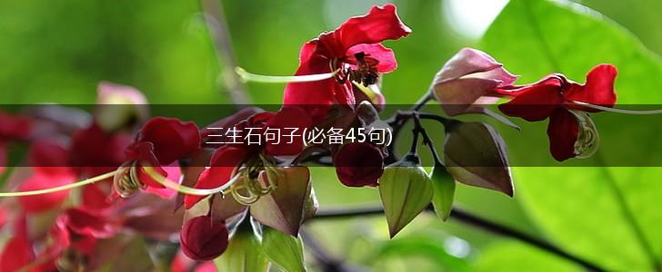三生石句子(必备45句),第1张