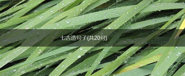 七古造句子(共20句),第1张