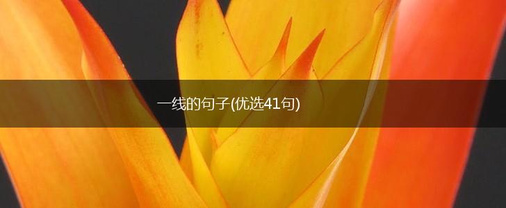 一线的句子(优选41句),第1张