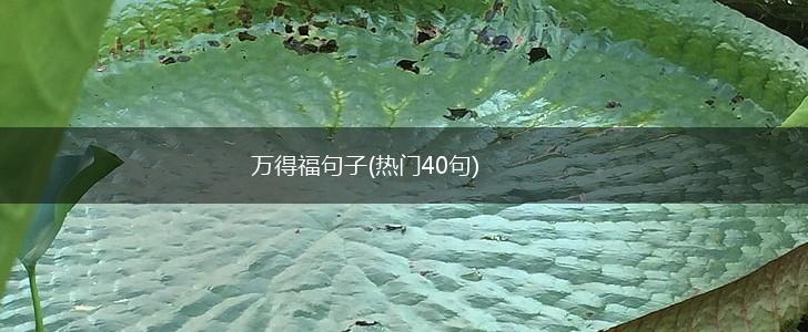 万得福句子(热门40句),第1张