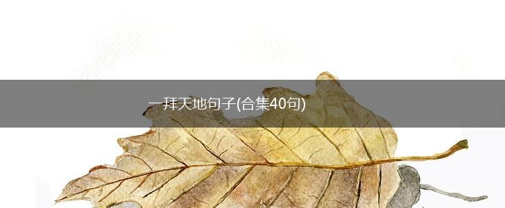 一拜天地句子(合集40句),第1张