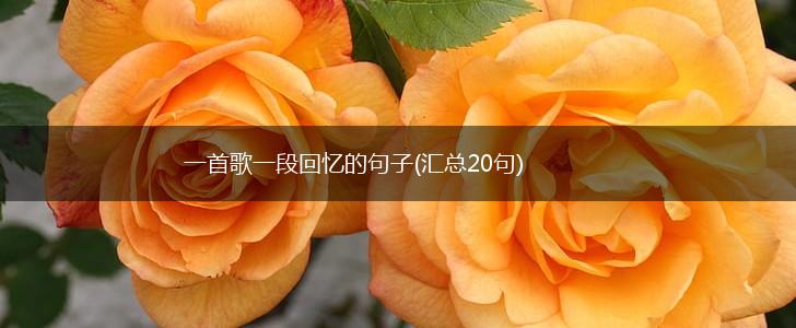 一首歌一段回忆的句子(汇总20句),第1张