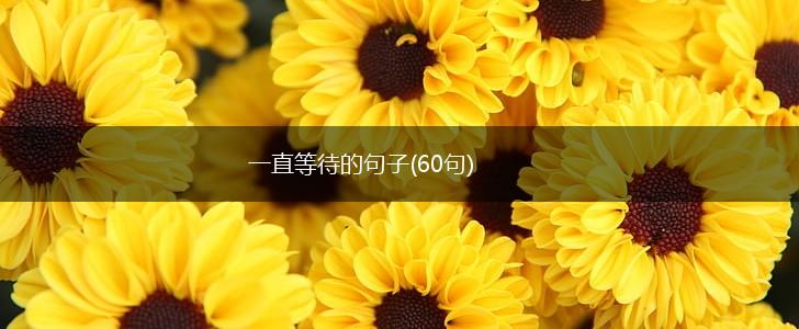 一直等待的句子(60句),第1张
