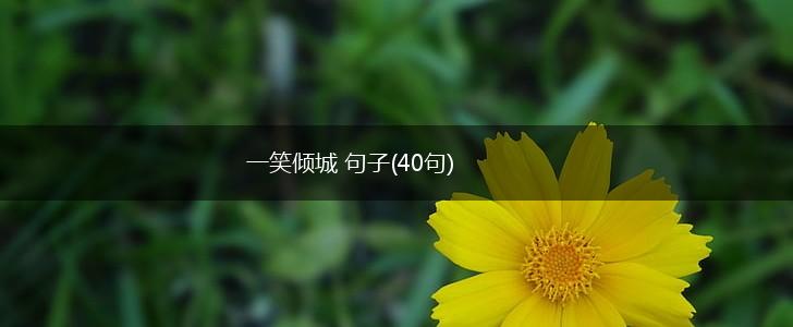 一笑倾城 句子(40句),第1张