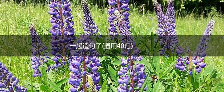 一起造句子(通用40句),第1张