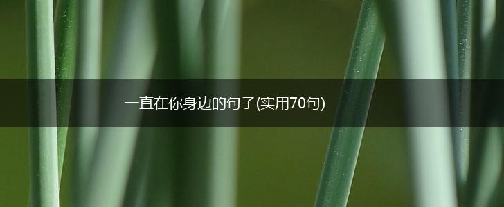 一直在你身边的句子(实用70句),第1张