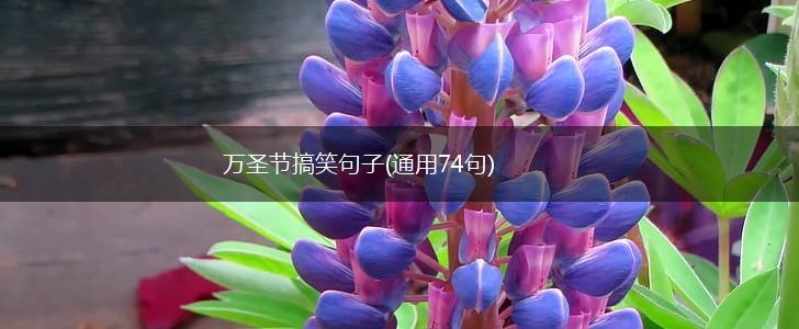 万圣节搞笑句子(通用74句),第1张