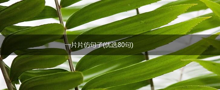 一片片仿句子(优选80句),第1张