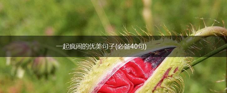 一起疯闹的优美句子(必备40句),第1张