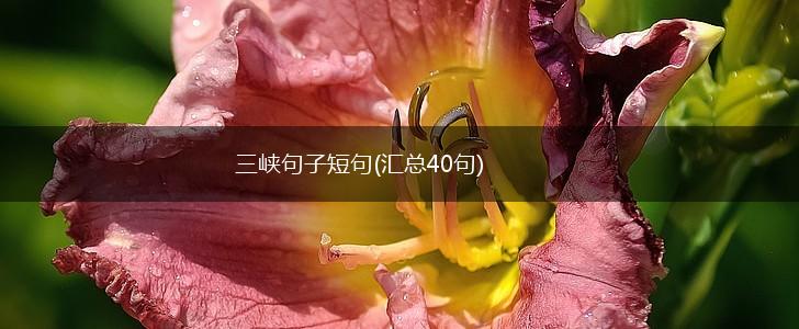 三峡句子短句(汇总40句),第1张