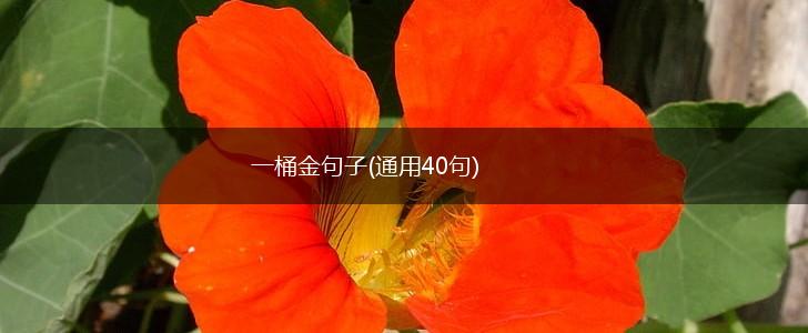 一桶金句子(通用40句),第1张