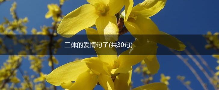 三体的爱情句子(共30句),第1张