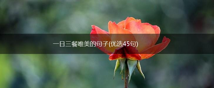 一日三餐唯美的句子(优选45句),第1张
