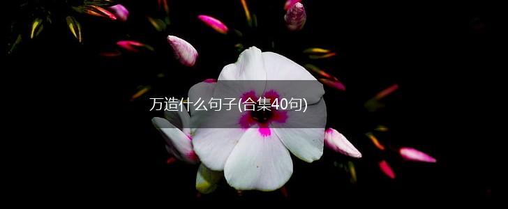 万造什么句子(合集40句),第1张
