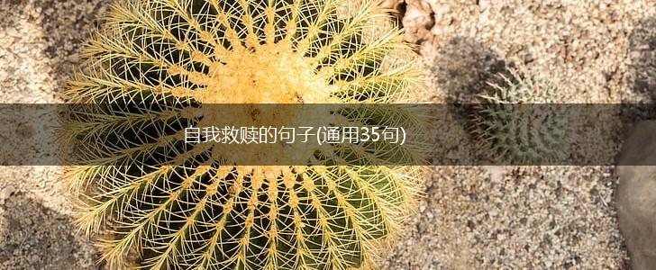 自我救赎的句子(通用35句),第1张