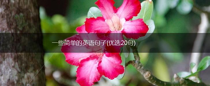 一些简单的英语句子(优选20句),第1张