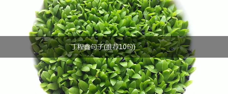 丁程鑫句子(推荐10句),第1张