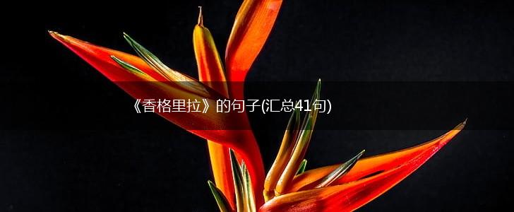 《香格里拉》的句子(汇总41句),第1张