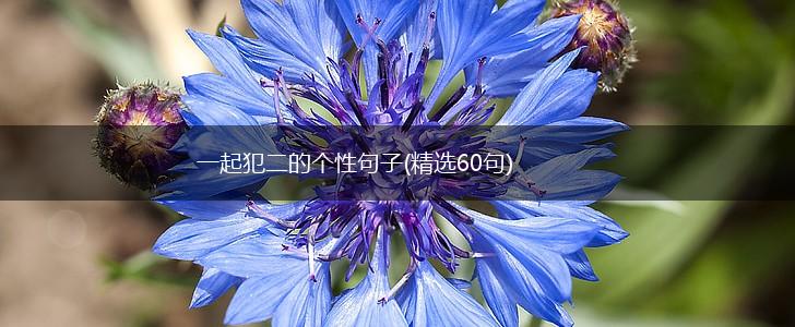 一起犯二的个性句子(精选60句),第1张
