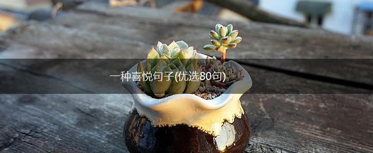 一种喜悦句子(优选80句),第1张