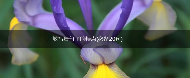 三峡写景句子的特点(必备20句),第1张