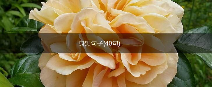 一身黑句子(40句),第1张