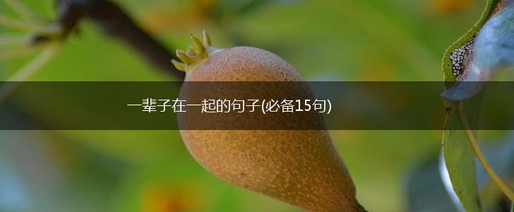 一辈子在一起的句子(必备15句),第1张