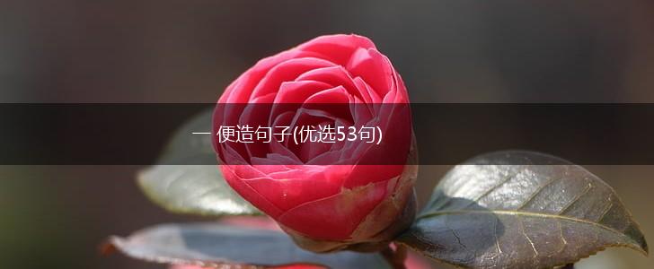 一 便造句子(优选53句),第1张