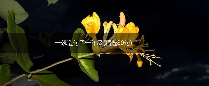 一就造句子一年级(精选80句),第1张