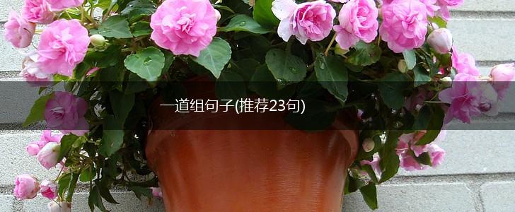 一道组句子(推荐23句),第1张