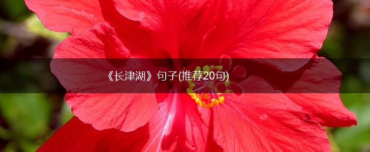 《长津湖》句子(推荐20句),第1张