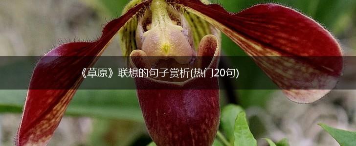 《草原》联想的句子赏析(热门20句),第1张