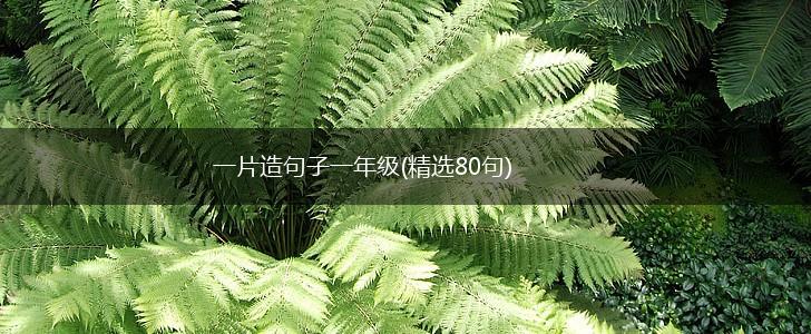一片造句子一年级(精选80句),第1张