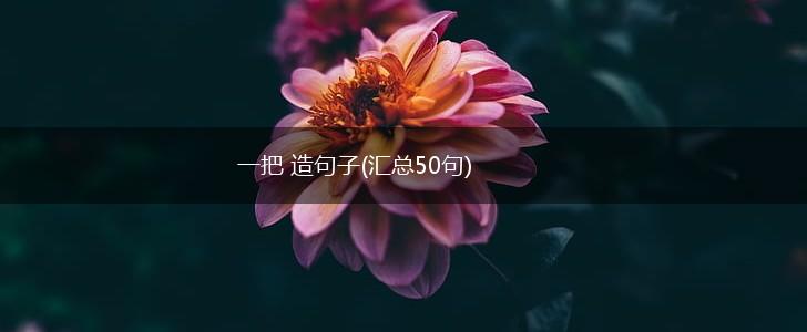 一把 造句子(汇总50句),第1张